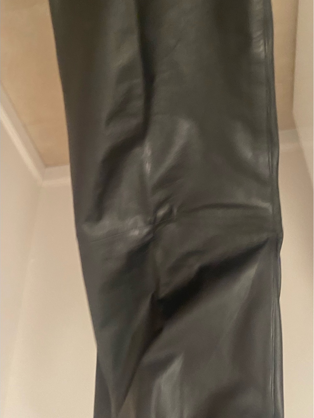Petite Women Leather Pants - Picture 5 of 7